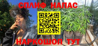 jwh Краснознаменск